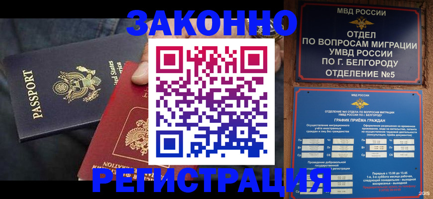 прописка законно в Волгореченске